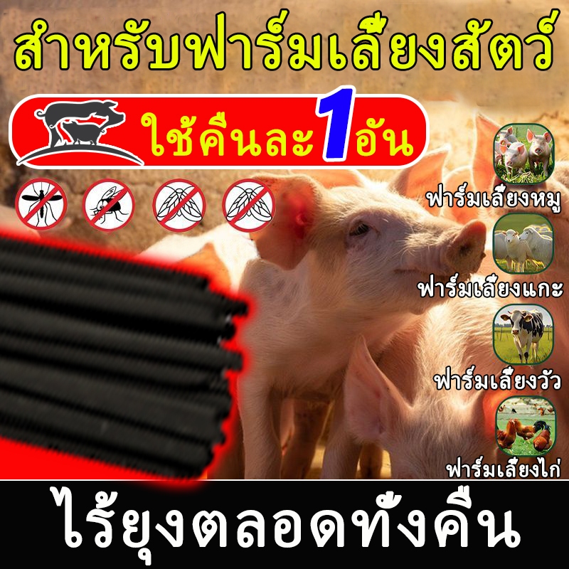 ยาจุดกันยุงใช้ได้นานถึง12ชั่วโมง สตรีมีครรภ์และสัตว์เลี้ยงสามารถใช้ยาจุดกันยุงได้ สะดวก และราคาถูก ยาว 1.2