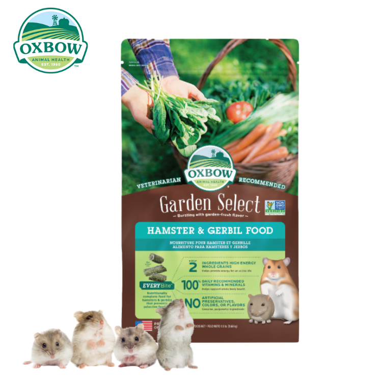 Oxbow Garden Select Hamster & Gerbil Food อาหารหนูแฮมสเตอร์ และ อาหารหนูเจอร์บิล สารอาหารครบถ้วน 1lb