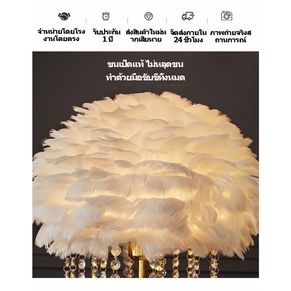 โคมไฟตั้งพื้นLED🧡โคมไฟการ ไฟแต่งห้อง ขนเป็ดแท้ ปรายจิ๋ววัสดุแก้ว ห้องนั่ง เล่นนอร์ดิก แสง3สีเปลี่ยนได้ โคมไฟตั้งพื้นขนนก รูปที่ 5