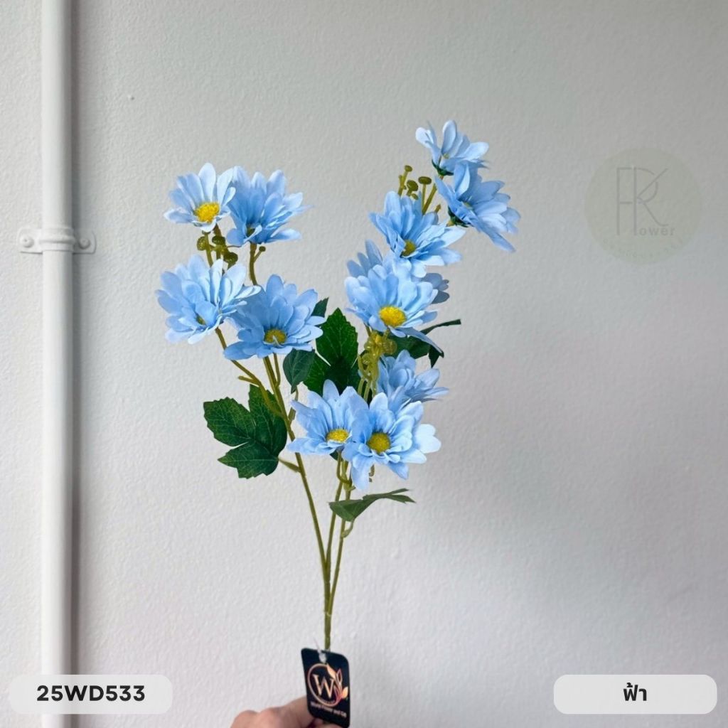 เดซี่ก้านยาว 3 กิ่ง 15 ดอก หน้าดอก 7 cm. สูง 63 cm. - รูปที่ 6