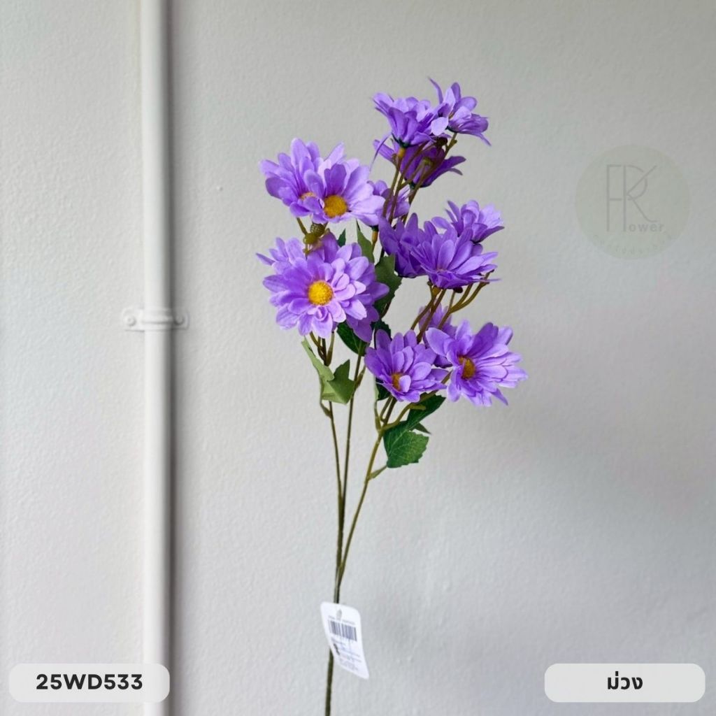 เดซี่ก้านยาว 3 กิ่ง 15 ดอก หน้าดอก 7 cm. สูง 63 cm. - รูปที่ 7