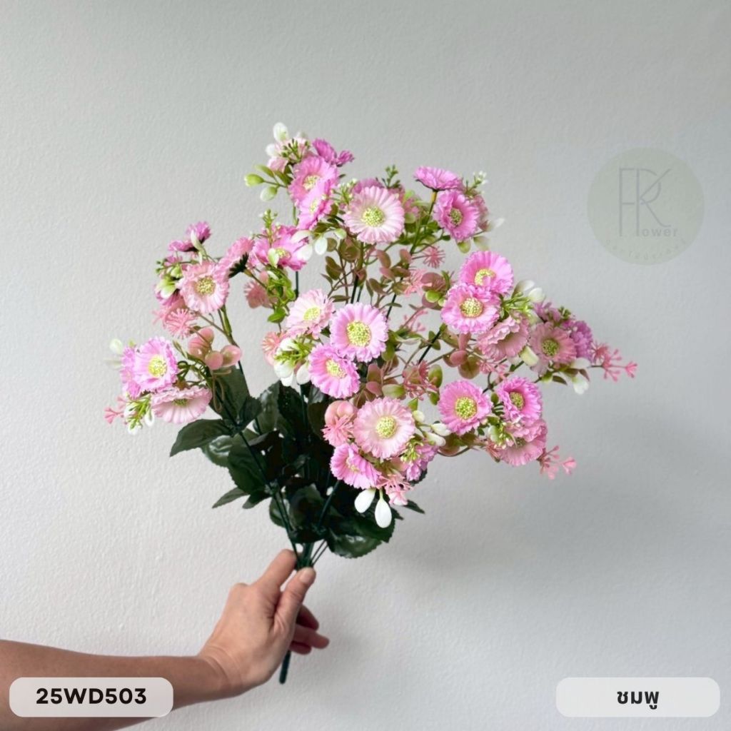 เบญจมาศ 12 ก้าน 36 ดอก หน้าดอก 4 cm. สูง 56 cm. ราคา ถูกที่สุด ดีลบีเคเค แกลเลอรีภาพที่ 8