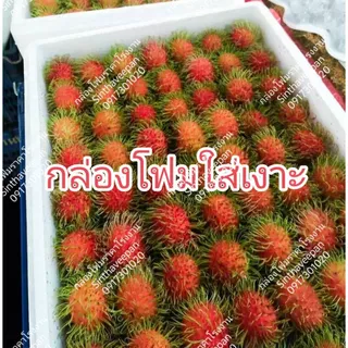 กล่องโฟมขนาด 10 กิโลกรัม #กล่องโฟม10kg (V10)