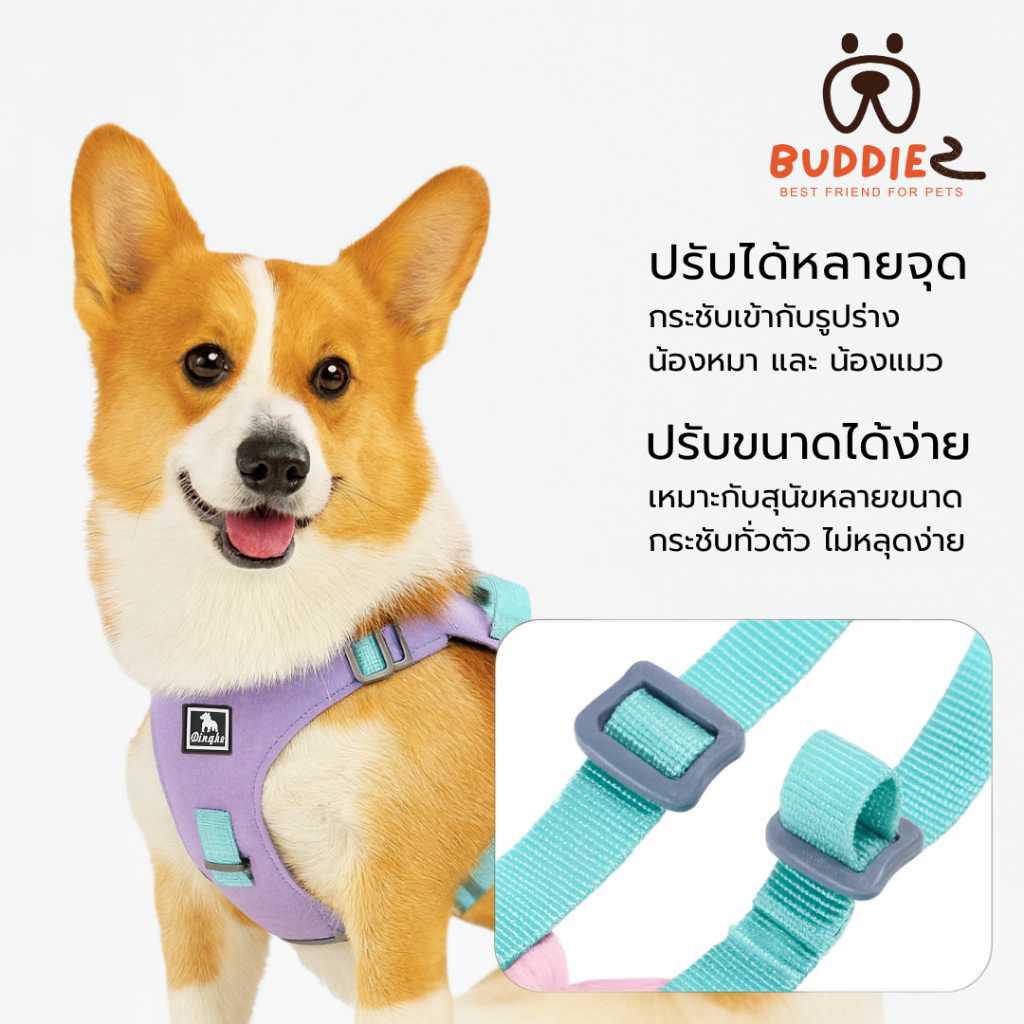 Buddiez สายรัดอก harness น้องหมา น้องแมว ผ้าโพลีเอสเตอร์ กันน้ำ กันขีดข่วน ระบายอากาศดี ปรับขนาดได้ สวมใส่ง่าย สีพาสเทล รูปที่ 4