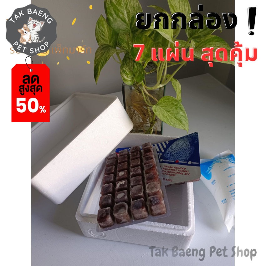 ส่งรวดเร็ว 🐛 ไรทะเลแช่แข็ง ยี่ห้อ โฮชิ  ยกกล่อง 7 แพ็ค + แถมฟรีกล่องโฟมฟรีเจลเย็น อาหารปลาทุกชนิด