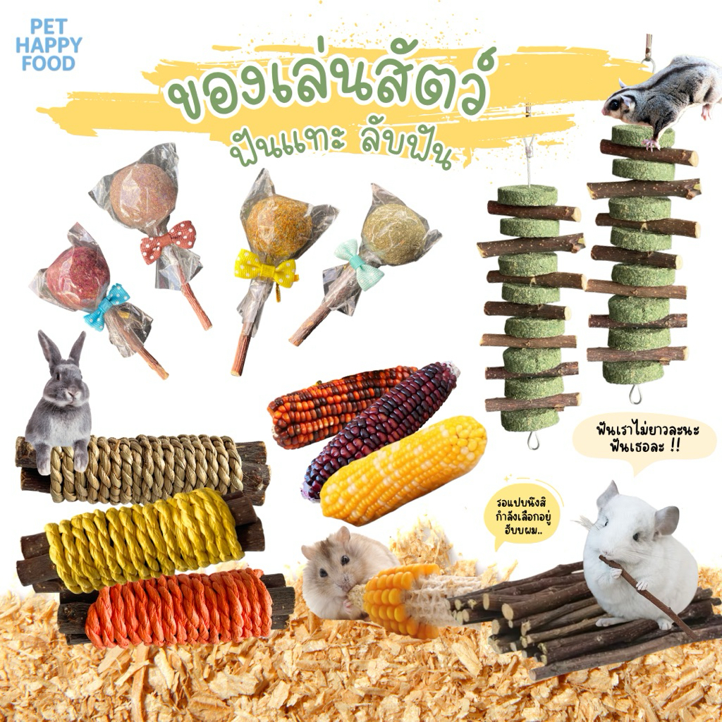 ของเล่นสัตว์ฟันแทะ ลับฟัน หนูแฮมเตอร์,แกสบี้,กระต่าย,ชูก้าไรเดอร์ ( สัตว์ฟันแทะทุกชนิด )
