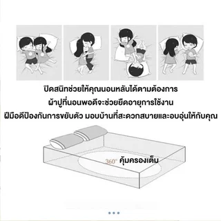 ผ้าปูลายริ้ว 3ฟุต 3.5ฟุต 5ฟุต 6ฟุต ซาติน ผ้าปูที่นอน ไรฝุ่น ผ้าปูที่นอนมินิมอล คุณภาพดี พร้อมส่ง