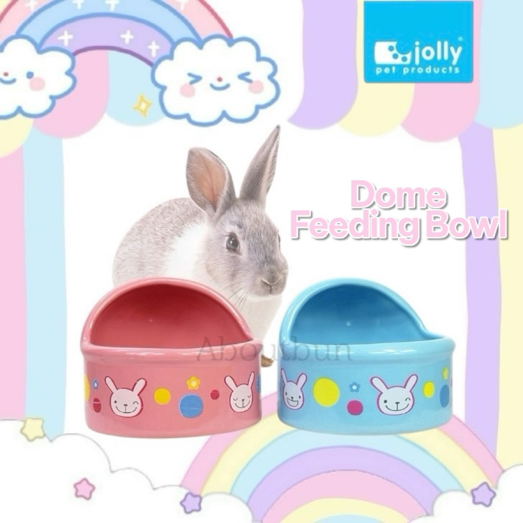 💓🐰 Aboutbun ชามอาหารเซรามิกทรงโดมครึ่งวงกลม ถ้วยอาหารสำหรับกระต่าย หรือสัตว์เลี้ยงขนาดเล็ก