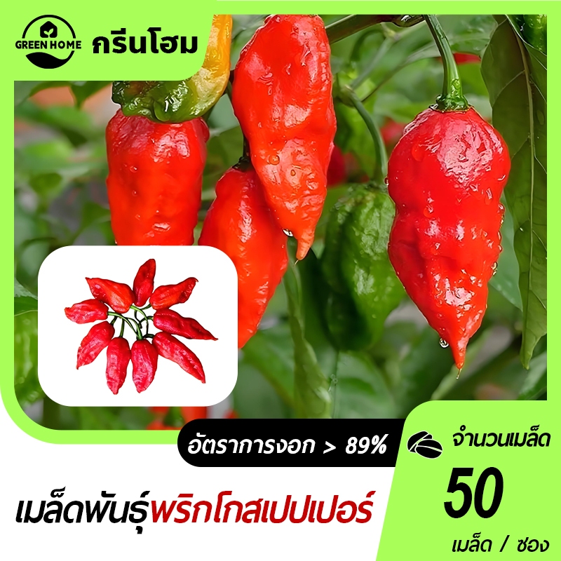 พริกโกสเปปเปอร์ Red Ghost Pepper เมล็ดพันธุ์พริกโกสเปปเปอร์ 50 เมล็ด เผ็ดกว่าพริกขี้หนู10เท่า!!