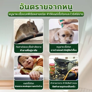 ✅หนูได้กลิ่นวิ่งหนีไปทันที✅เจลไล่หนู ยาไล่หนู ที่ไล่หนู ไล่หนูถาวร 100g ขับไล่หนูตลอด 24 ชั่วโมง ​ไร้สารเคมี ปลอดภัย