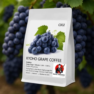 เมล็ดกาแฟคั่้ว Kyoho Grape Coffee องุ่นเคียวโฮชัดๆ จากKAFA HMOG กาเเฟคัดเกรดAสวยๆ C002