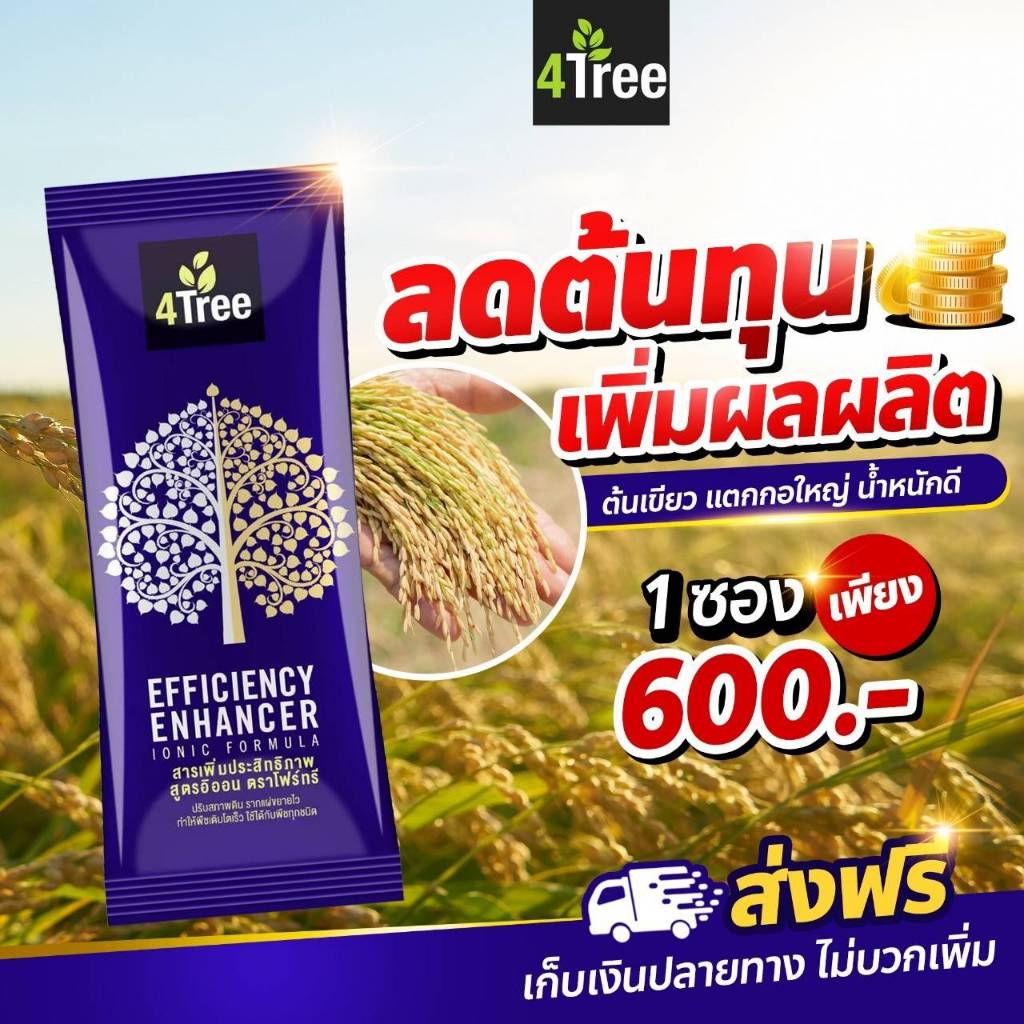 🔥ส่งไว🔥[1 ซอง] 4Tree โฟร์ทรี สารเสริมประสิทธิภาพ ของแท้ 100%