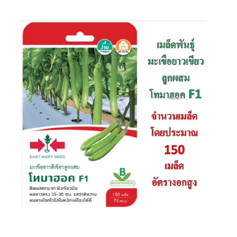 5 แถม 1 เมล็ดพันธุ์ มะเขือยาวโทมาฮอก F1 ศรแดง
