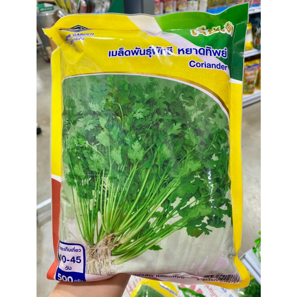 ผักชี หยาดทิพย์ 500 กรัม เจียไต๋