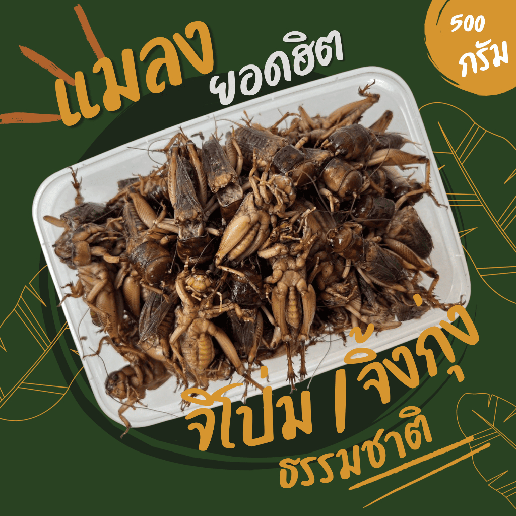 จิโป่มเด็ดปีกเด็ดใส้ (ส่งรถห้องเย็น) ค่าส่งเหมาๆ ฟรีซแข็ง สดใหม่ สะอาด ส่งตรงจากฟาร์ม