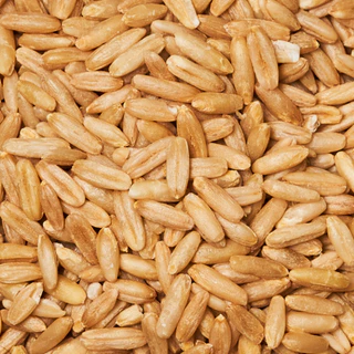ข้าวโอ๊ตเต็มเมล็ดแบบหุง PURE ORGANIC | Whole Oat Groats ออร์แกนิค 100% ไฟเบอร์สูง โปรตีนจากพืช สุขภาพดีทุกวัน
