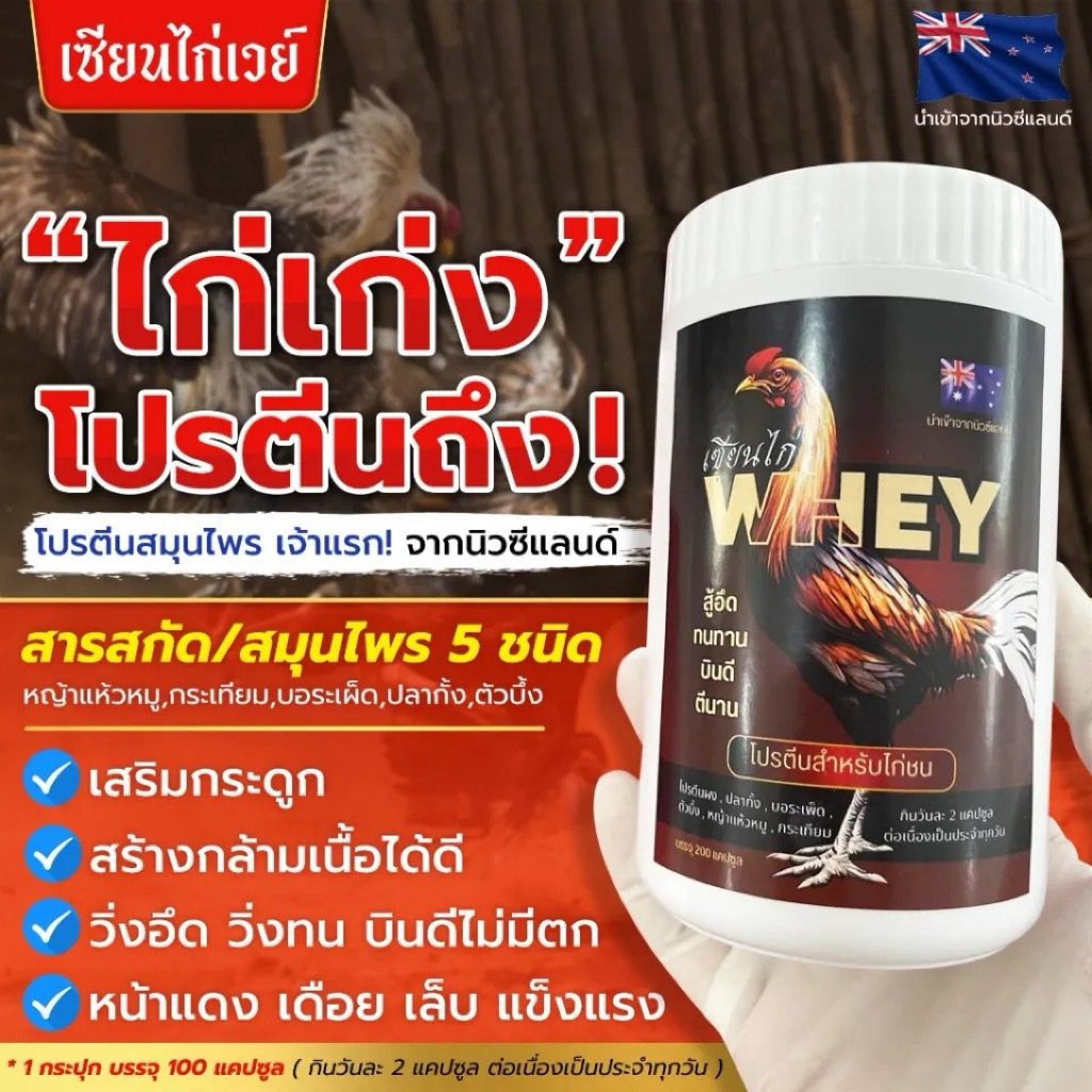 เซียนไก่เวย์ WHEYเซียนไก่ โปรตีนไก่ชน อาหารเสริมไก่ บินดีไม่มีตก