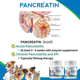 PANCREATIN เอ็นไซม์เสริมอาหารสำหรับสุนัขและแมวที่มีภาวะตับอ่อน Pancreas