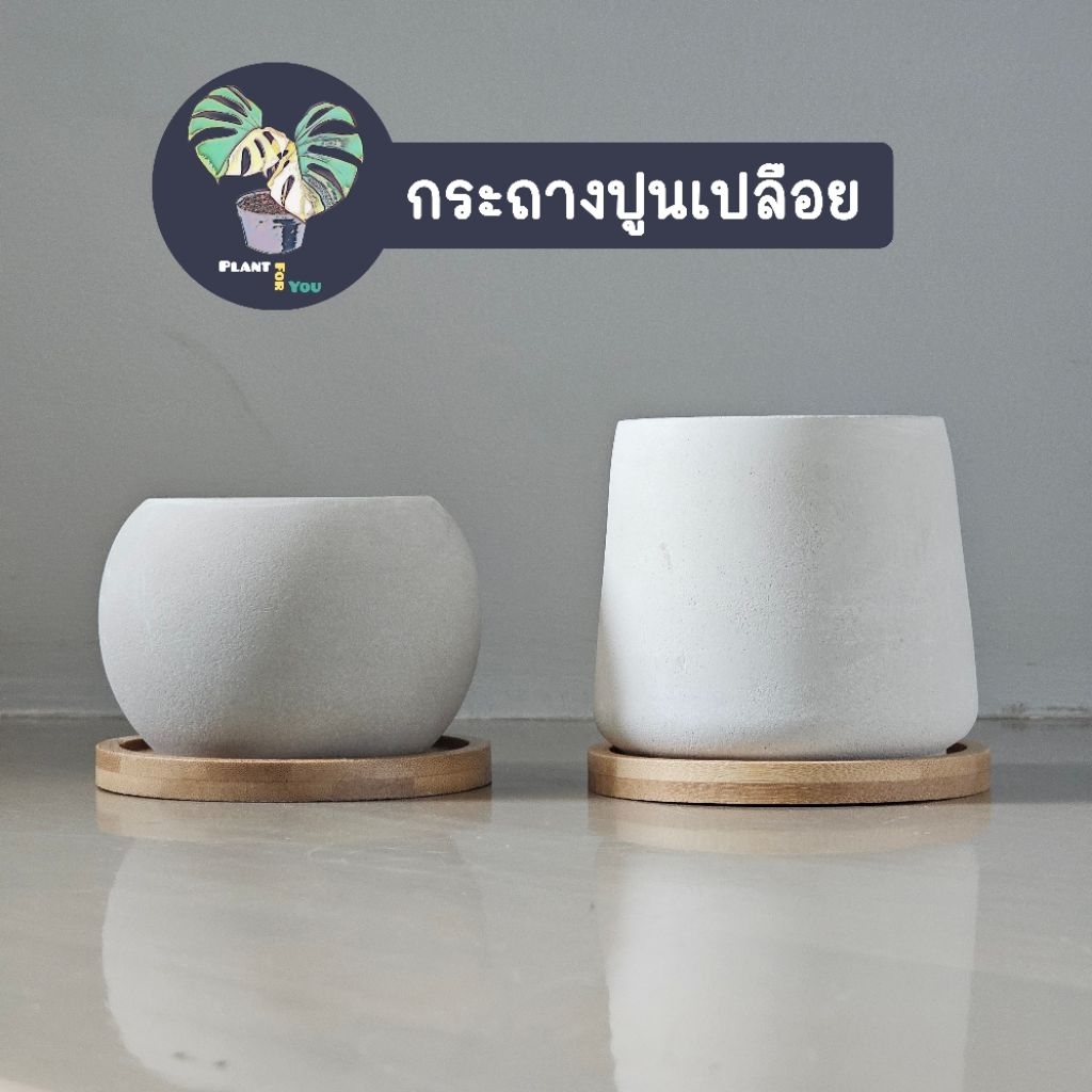 กระถางปูนเปลือย พร้อมจานรอง สไตล์ MINIMAL