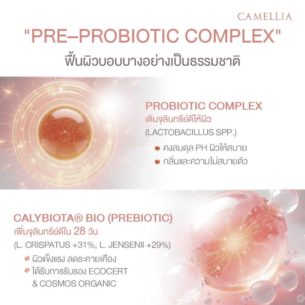 เซ็ตเซรั่มทาจุดซ่อนเร้น 2 สูตร | Time Delay No.1 & No.2 | ปรับผิวให้ใส ผิวเด้งกระชับ บำรุงครบวงจร - รูปที่ 2
