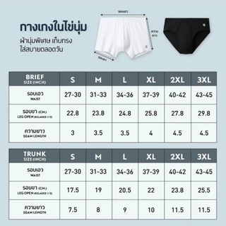 GQ Everyday Kai Noom กางเกงในไข่นุ่ม ละมุนไข่