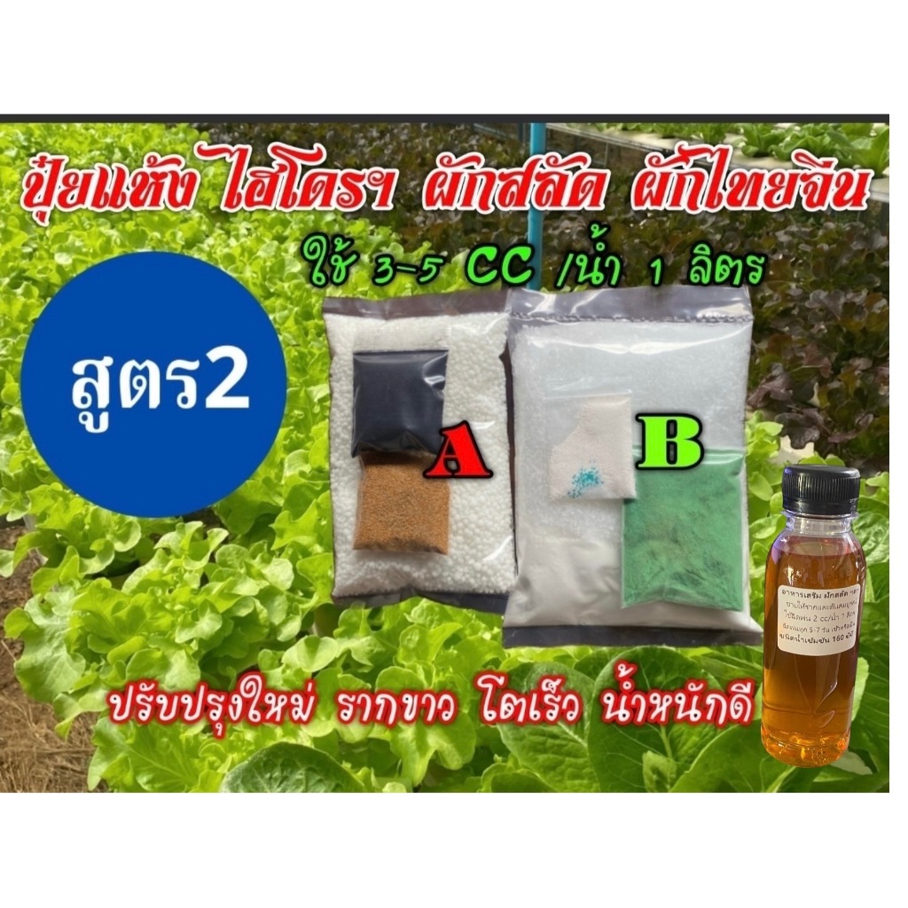 ปุ๋ยแห้ง AB ผักสลัด-ผักไทย/จีน สูตร 2 ชุดคู่ 10 ลิตรแถม สลิ๊ง 10 cc 2 อัน +อาหารเสริมชนิดเข้มข้น 160 ซีซี 1 ขวด
