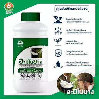 อะมิโนยาง ฟ้าอรุณ [ขนาด 500cc] — เฉพาะสำหรับยางพาราโดยตรง ฟื้นฟูต้นยางโทรม เปลือกแข็ง กรีดยาก น้ำยางมีเปอร์เซ็นต์ต่ำ