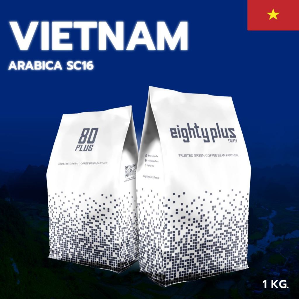 สารกาแฟเวียดนาม VIETNAM ARABICA SC16 I 80+ ราคา ถูกที่สุด ดีลบีเคเค