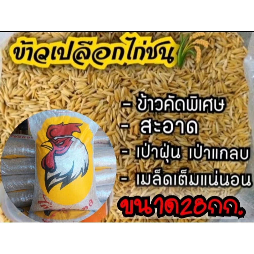 #ข้าวเปลือกไก่ชน #คัดพิเศษ ไม่มีแกลบ