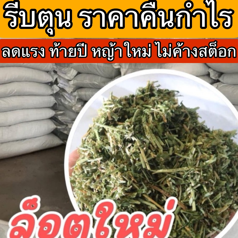 🎉best 1st🎉  อัลฟาฟ่าสับ canowindra 5 กิโล ฝุ่นน้อย ขายดี