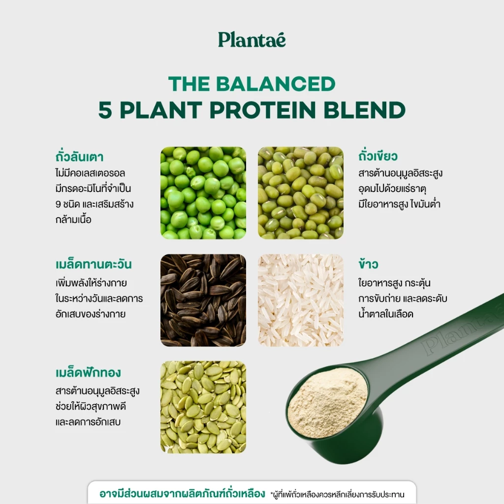 Plantae Complete Plant Protein สูตร Dessert Factory กระปุก 800g โปรตีนจากพืช plant based เพิ่มกล้ามเนื้อ โปรตีนสูง thumbnail 5