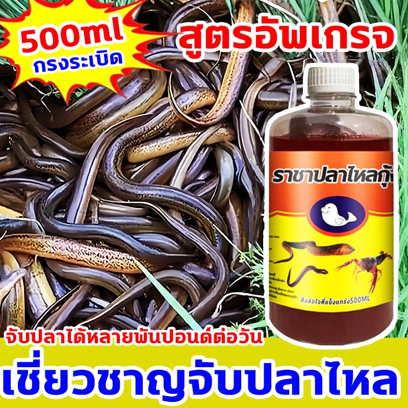 🔥จับได้เร็ว🔥ล่อปลาไหล(500ML) หัวเชื้อตกปลาไหลนา ดึงดูดปลา จับปลาไหลเร็ว  สำหรับปลาไหล สิ่งล่อใจที่แข็งแกร่ง สูตรอัพเกรจ