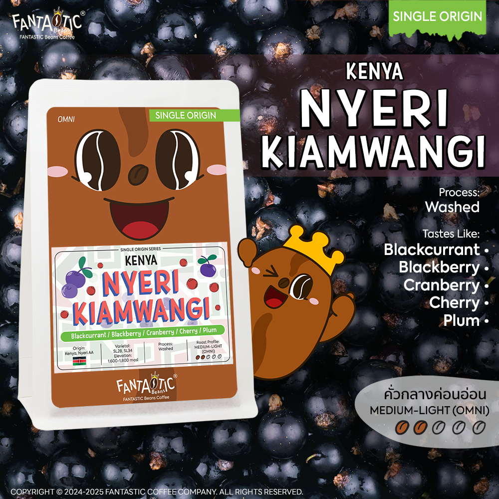เมล็ดกาแฟ Kenya Nyeri Kiamwangi (คั่วกลางอ่อน) FANTASTIC Beans Coffee