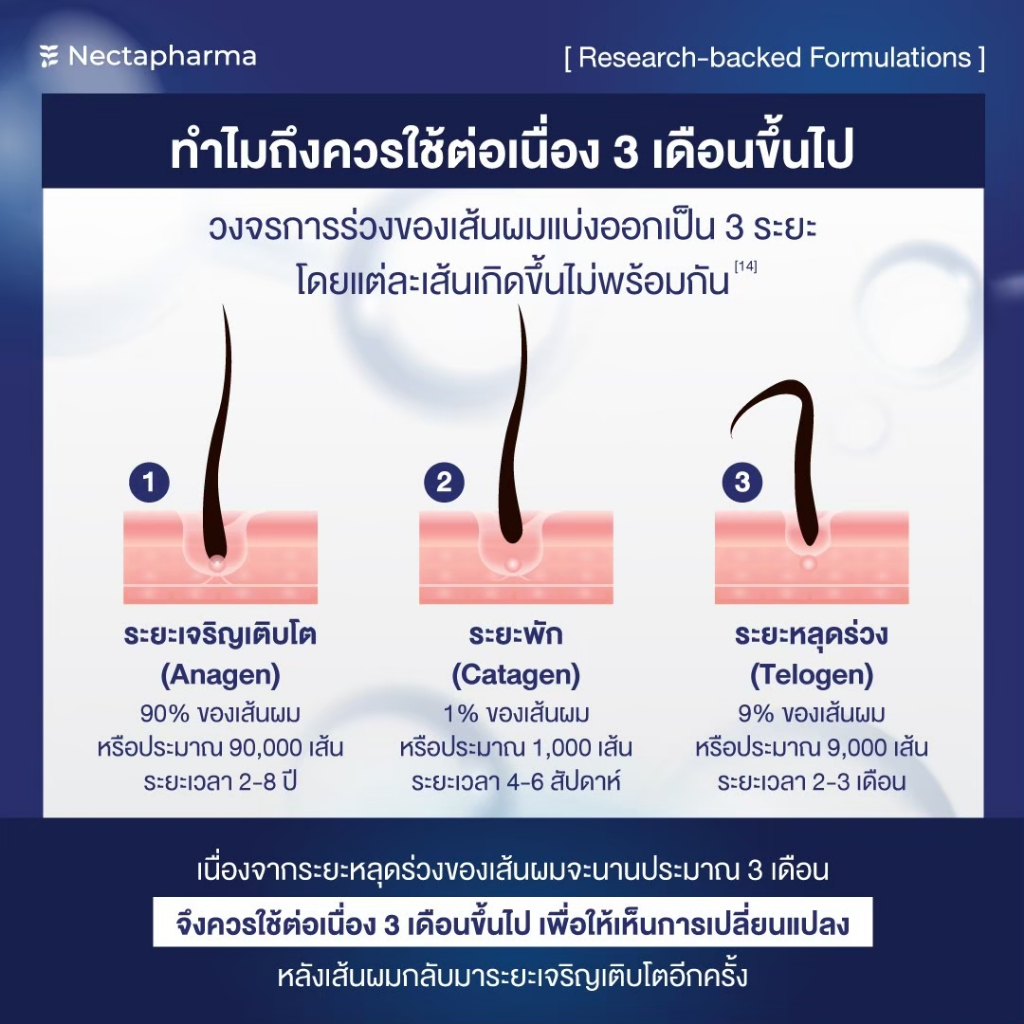 รูปภาพ 7