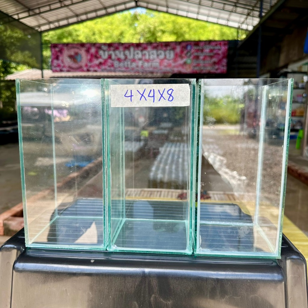 โหลปลากัด ขนาด4x4x8นิ้ว (ชุด3ใบ) หนา3มิล กาวใส