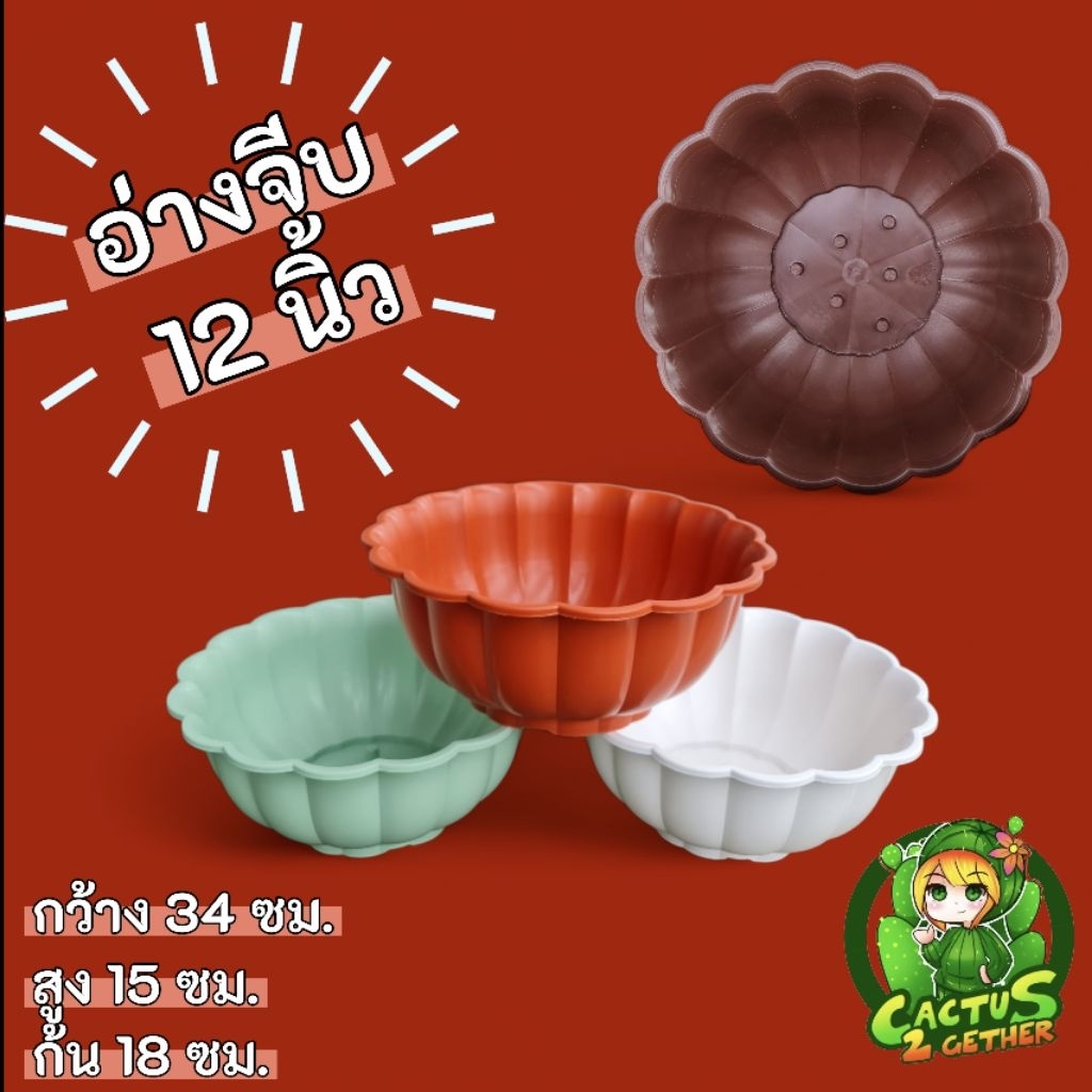 กระถาง(พลาสติก)ทรงอ่างปากจีบขนาด12นิ้ว