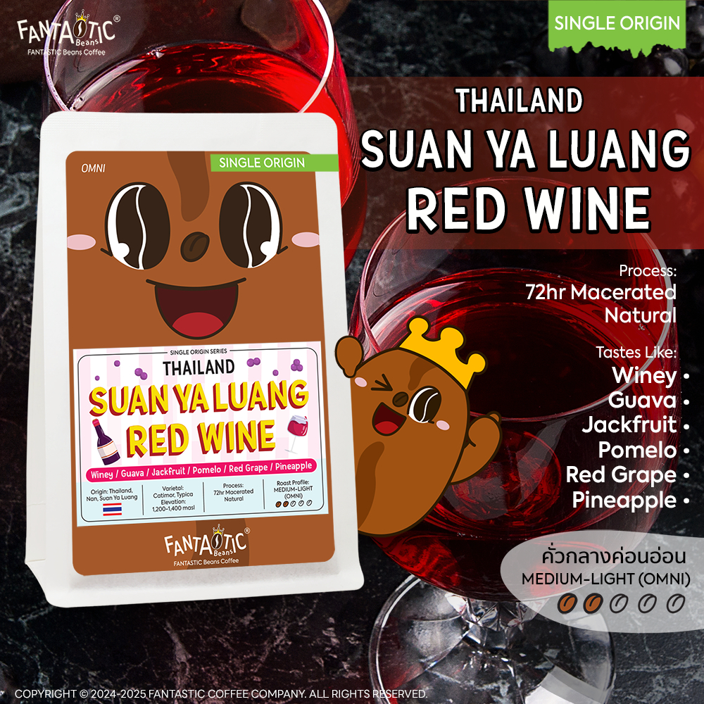 เมล็ดกาแฟ Thailand Suan Ya Luang Red Wine (คั่วกลางอ่อน) FANTASTIC Beans Coffee