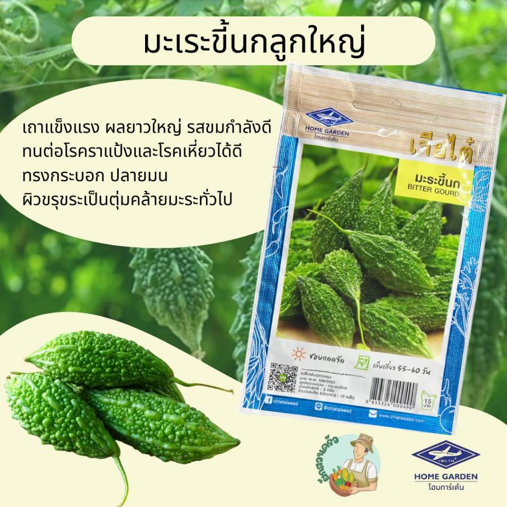 มะระขี้นก CT/OP-087 ผักซองเจียไต๋ มะระ เมล็ดพันธุ์ผักสวนครัว ผักเจียไต๋ ตราเครื่