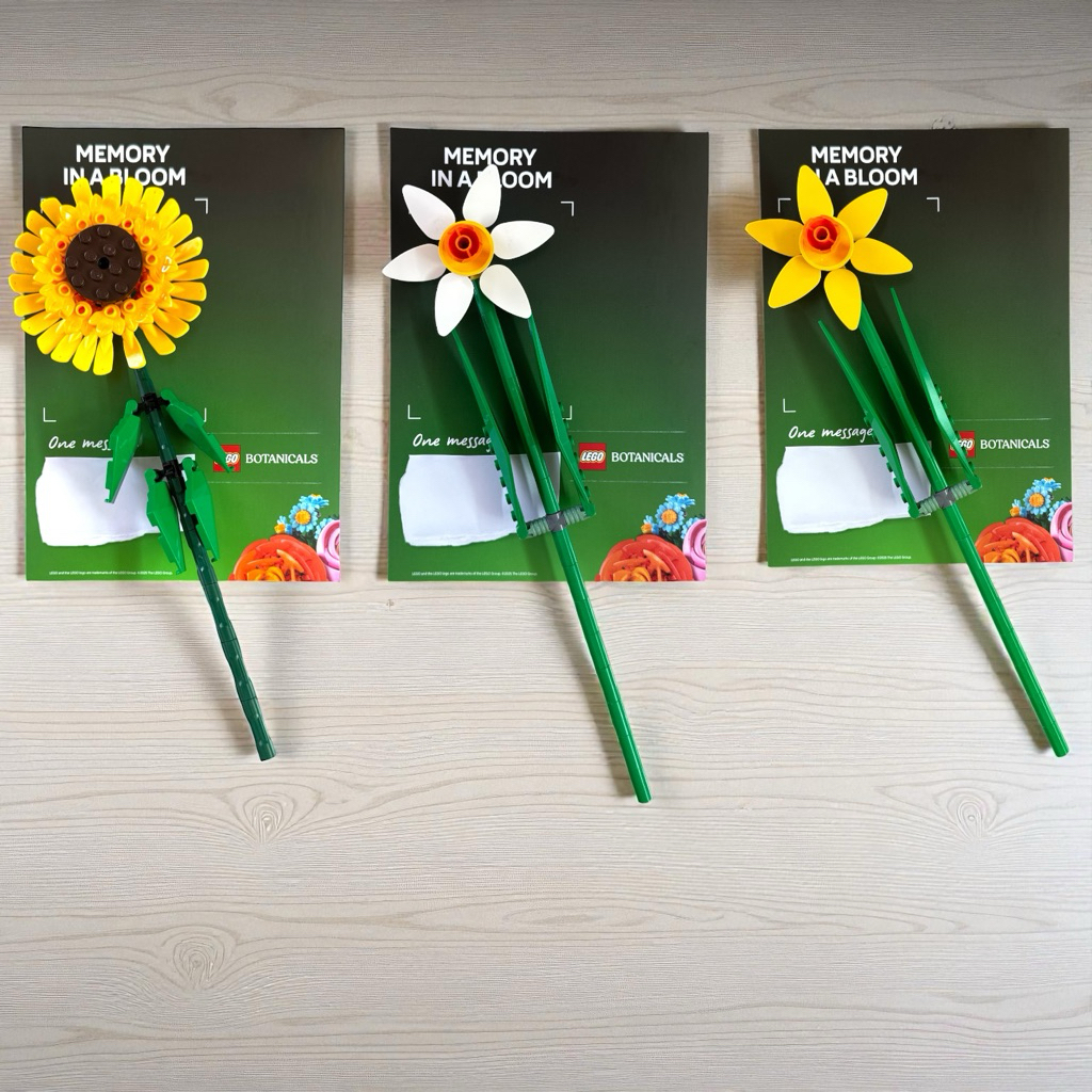 Memory in Bloom Sunflower and Daffodils (เฉพาะดอกไม้เท่านั้น)