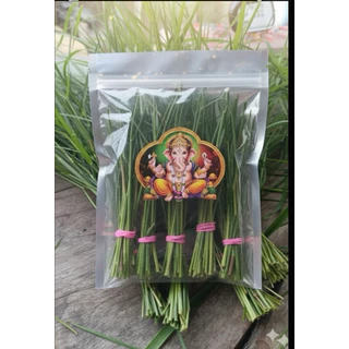 หญ้าแพรก ใบทุระวา(หญ้าแพรก) หญ้าแพรกมงคลถวายพระพิฆเนศ พร้อมกำยานและธูปโชคลาภมีตัวเลข ตัดสดตามทำสั่งซื้อ