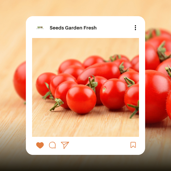 เมล็ดมะเขือเทศเชอร์รี่ บรรจุ 100 เมล็ด - รูปที่ 4