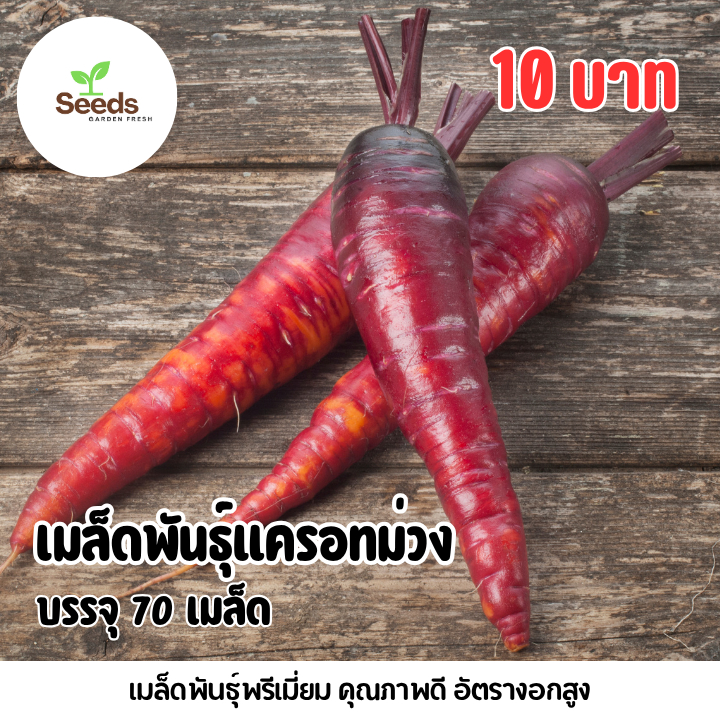 เมล็ดแครอทสีม่วง บรรจุ 70 เมล็ด