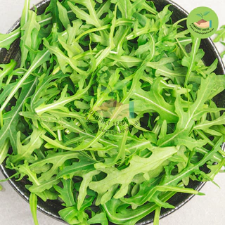9 บาท ผักสลัดไวท์ร็อคเก็ต 100 เมล็ด