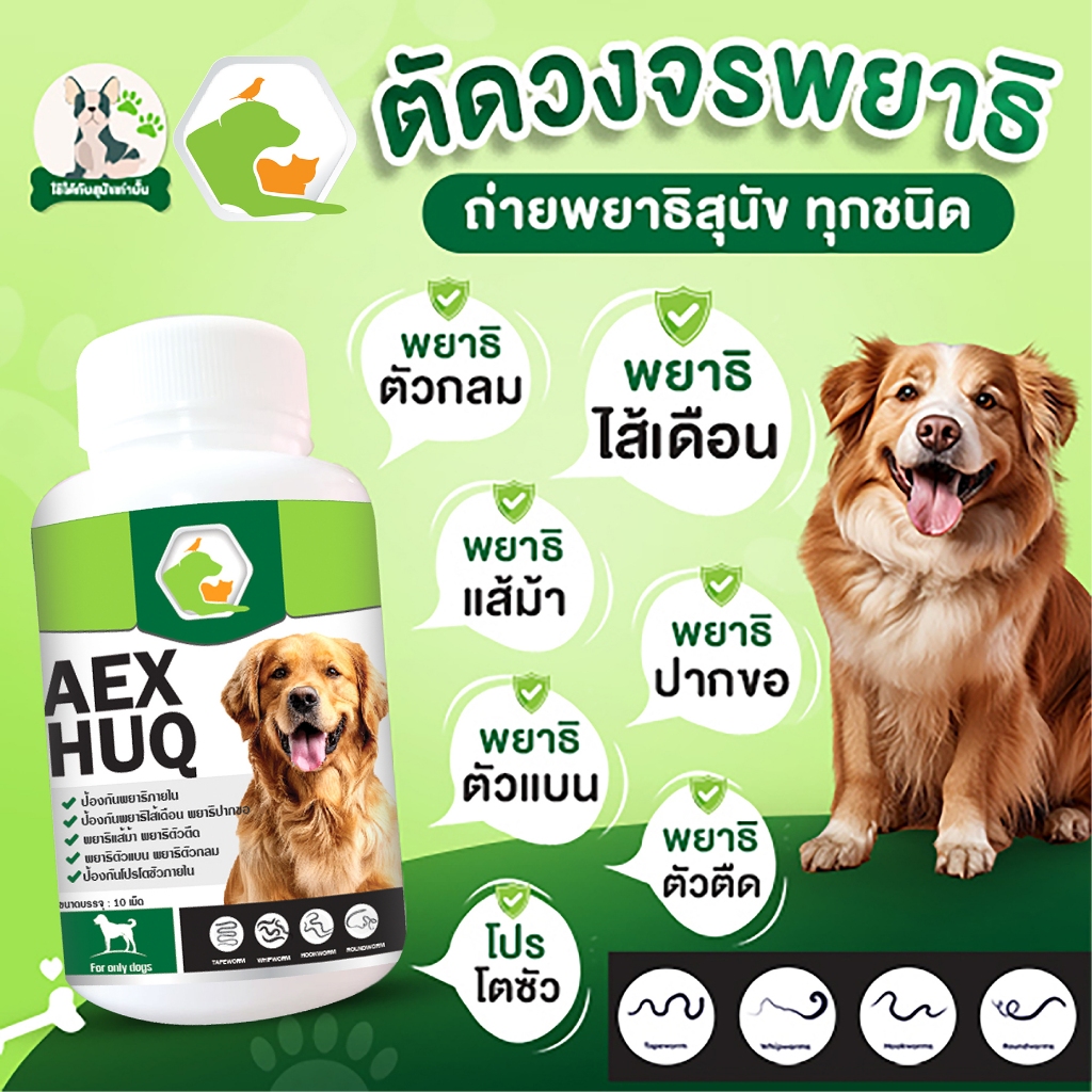 ส่งไว*เสริมอาหารสุนัข AEXHUQ เสริมภูมิ ต้าน ปรสิต พยาธิสุนัข เสริมความอยากอาหารสุนัข