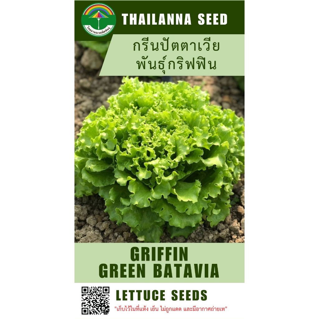 เมล็ดพันธุ์ผักสลัด กรีนปัตตาเวีย พันธุ์กริฟฟิน ( ขนาด 0.5 กรัม ) ( เมล็ดเปลือย ) รหัสสินค้า 3027