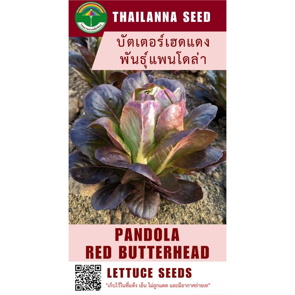 เมล็ดพันธุ์ผักสลัด บัตเตอร์เฮดแดง พันธุ์แพนโดล่า ( ขนาด 0.25 กรัม ) ( เมล็ดเปลือย ) รหัสสินค้า 3015