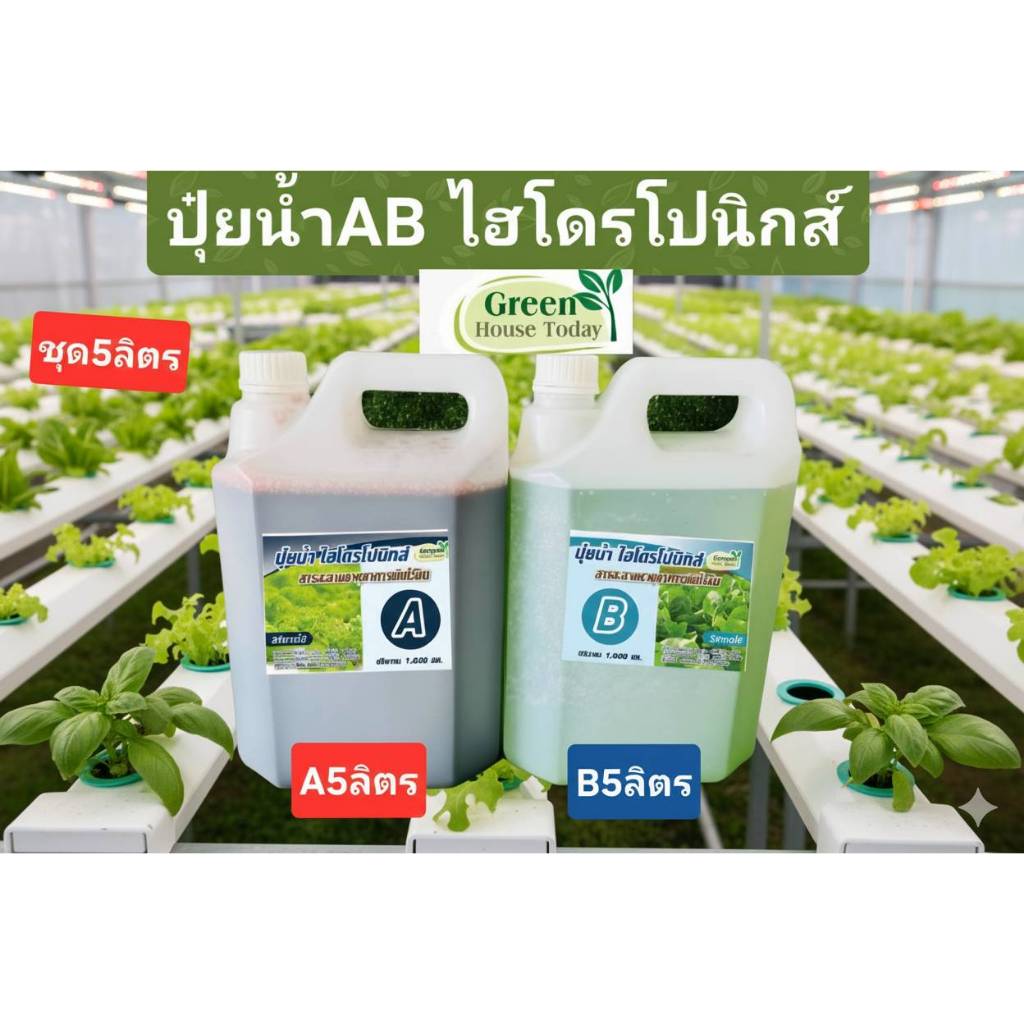 ปุ๋ยน้ำ AB 5ลิตร ไฮโดรโปนิกส์ สูตรเข้มข้น(1:100) ขนาด 5 ลิตร(A5L+B5L) ธรรมชาติ ปุ๋ยน้ำ ผักสลัด /2แกล