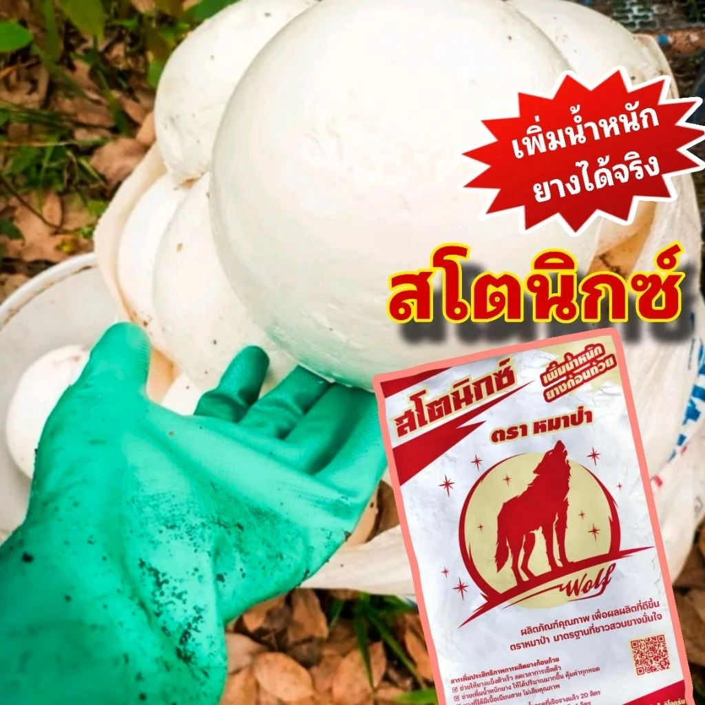 สโตนิกซ์ ตราหมาป่า สารเพิ่มน้ำหนักยาง เพิ่มคุณภาพขี้ยาง thumbnail 5