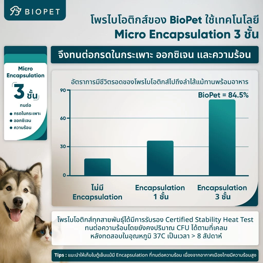 [CLEARANCE ลด 50%] PetGard โพรไบโอติกของสัตว์เลี้ยง สูตรผิวหนัง บำรุงขน Medical Grade Probiotic thumbnail 8