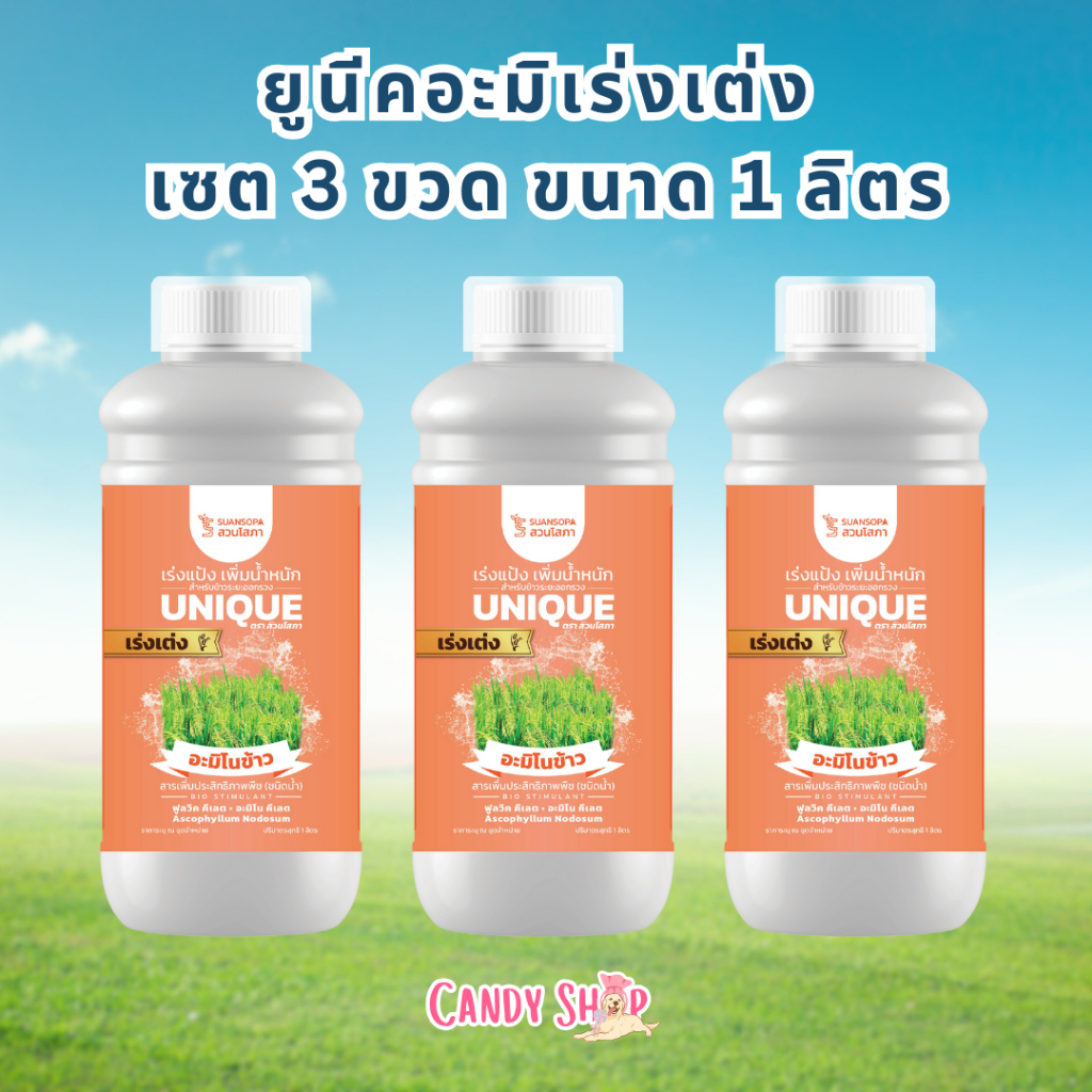 ยูนีคอะมิโนข้าว เซต 3 ขวด สูตรเร่งเต่ง เร่งแป้ง เพิ่มน้ำหนัก กระตุ้นการออกรวง บำรุงรวง รวงหนา รวงใหญ่ รวงโต